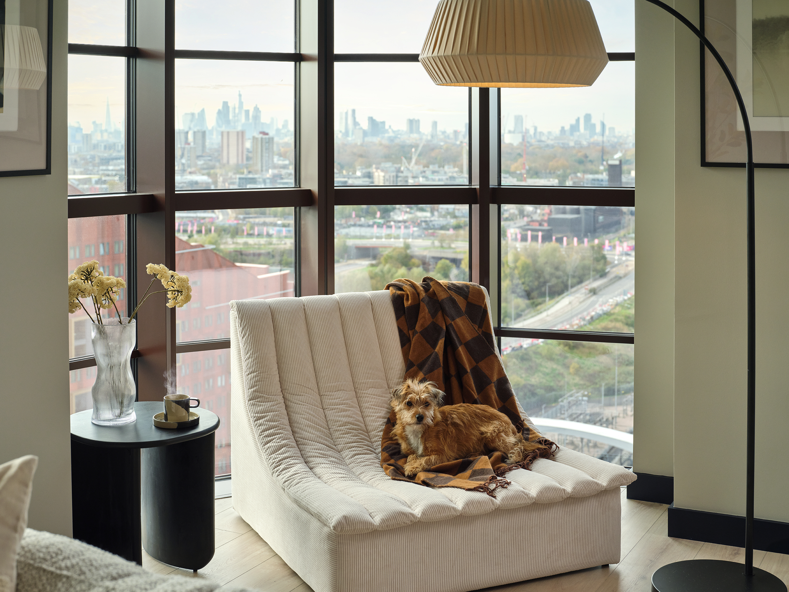 Rondo Stratford two bedroom apartment with dog on chair 